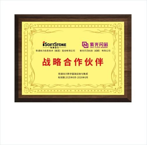 iSoftStone Strategic Partner