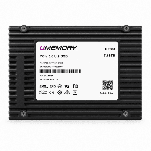 E5300